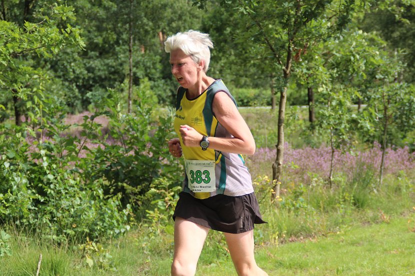 estafette deel 3 - 2017 - 386